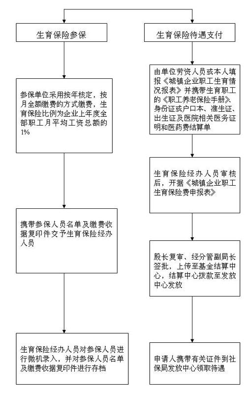 生育保险如何报销,生育保险怎么报销的 生育保险如何报销,生育保险怎么报销的