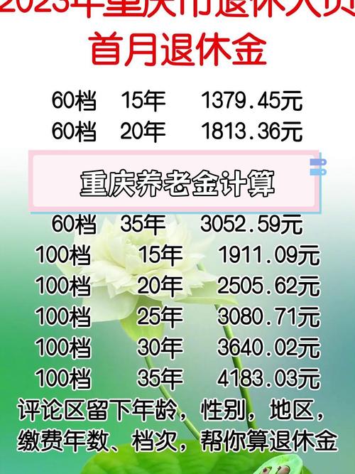 职工养老保险计算器 - 职工基本养老保险计算 职工养老保险计算器 - 职工基本养老保险计算