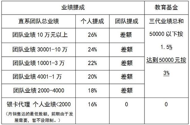 保险业务员 - 保险业务员的真实收入 保险业务员 - 保险业务员的真实收入