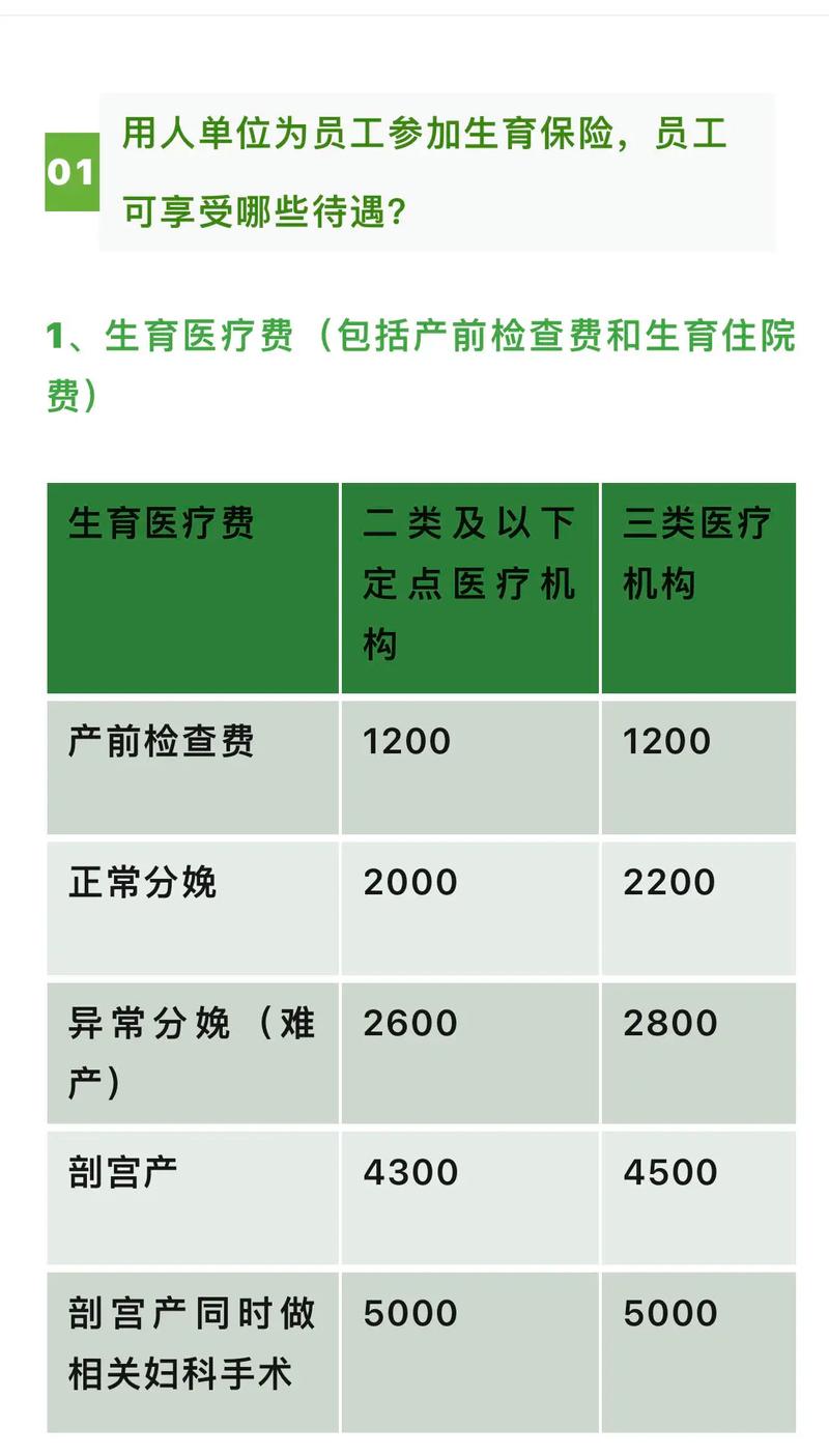 生育保险报销条件 - 职工生育保险怎么报销 生育保险报销条件 - 职工生育保险怎么报销