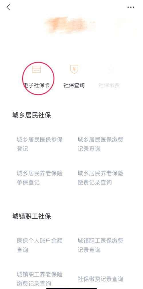 养老金查询个人账户,甘肃农村养老金查询个人账户 养老金查询个人账户,甘肃农村养老金查询个人账户