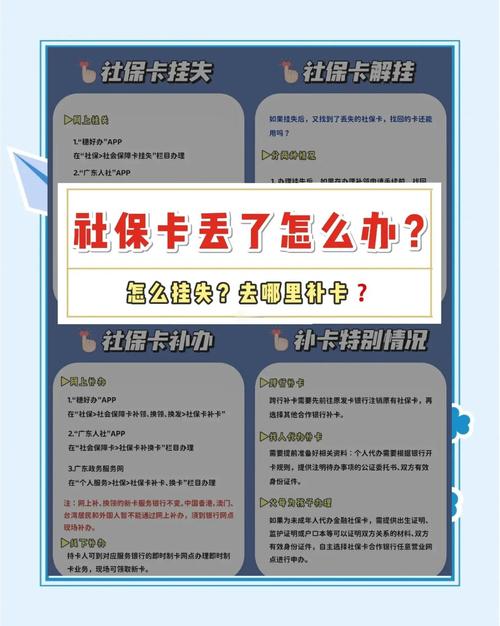 厦门市社会保障卡 - 厦门市社会保障卡电话 厦门市社会保障卡 - 厦门市社会保障卡电话