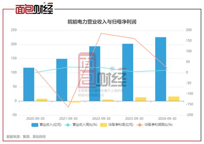 皖能电力股票 - 皖能电力股票前十股东