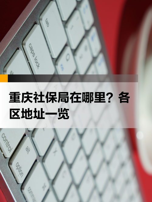 巴南区社保局(巴南区社保局电话) 巴南区社保局(巴南区社保局电话)